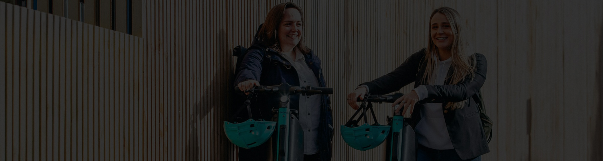 electric scooter